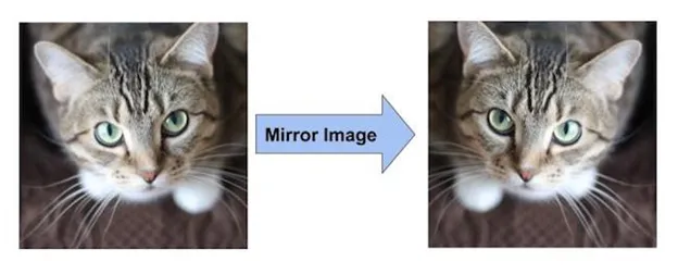 example